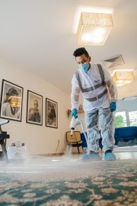 steam carpet cleaning sydney